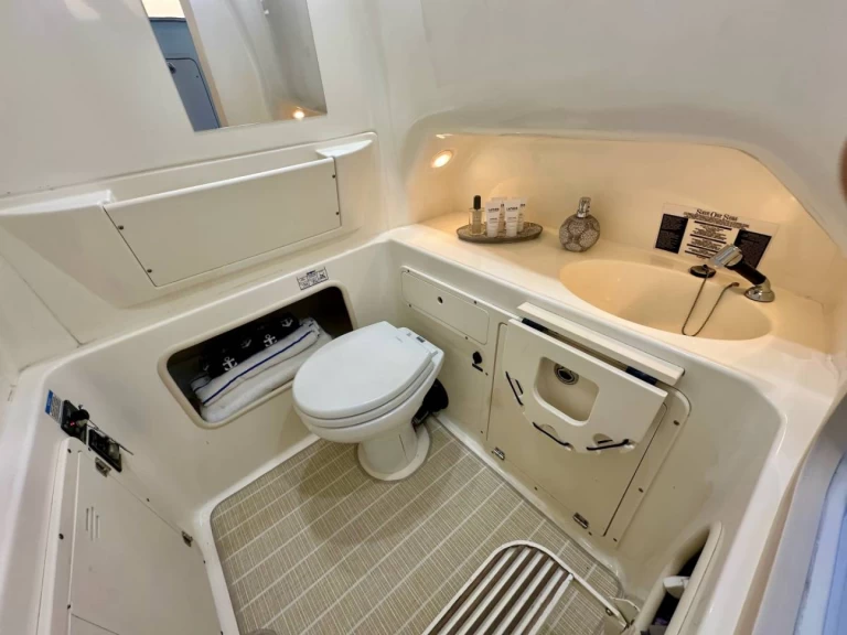 Charter a Boston Whaler Boston Whaler 320 Outrage in Hydra on Samboat