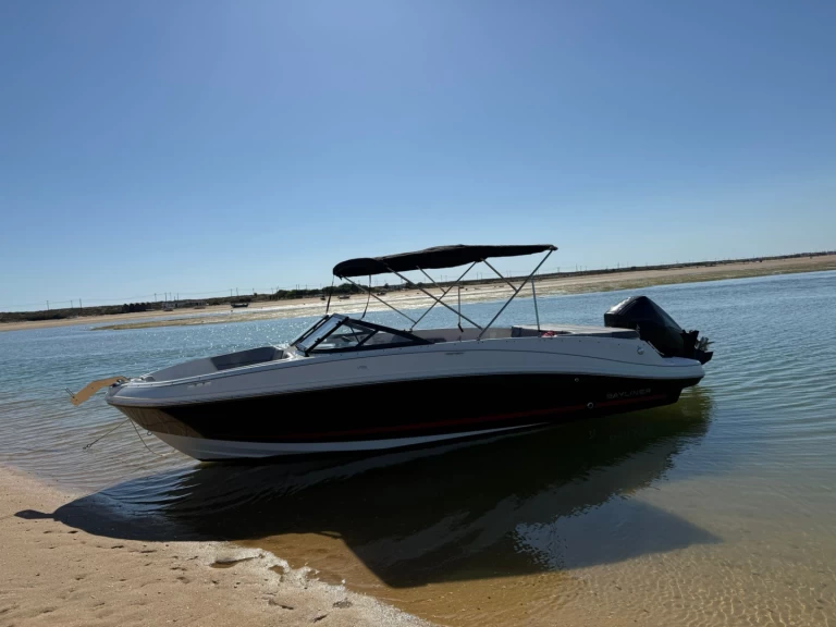 Hire Motorboat with or without skipper Bayliner Faro