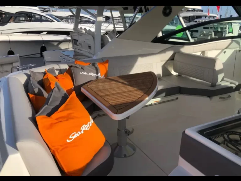 Hire Motorboat Sea Ray with a boat licence