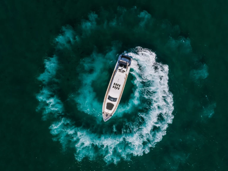 Hire a Arno Leopard Leopard 31 Miami