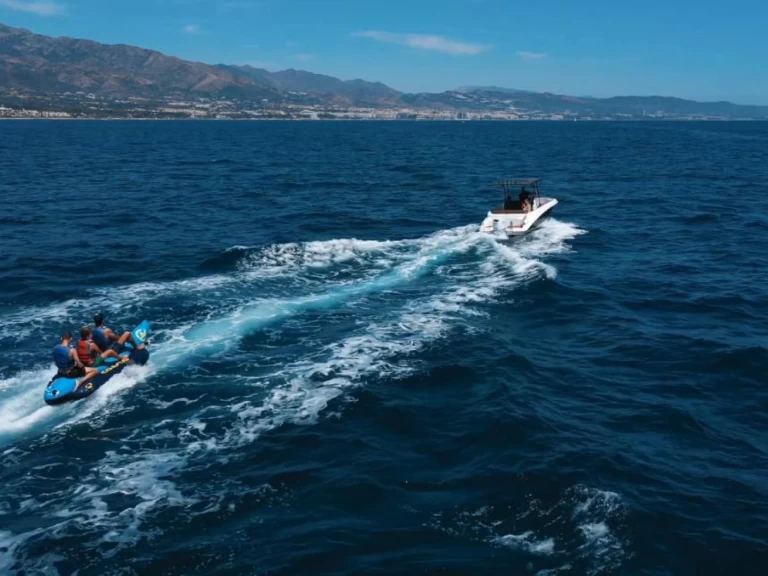 Charter a Suzuki DF 115 BTL in Marbella on Samboat