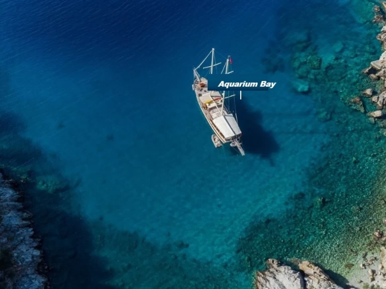 RIB to hire Budrum Bay at the best price