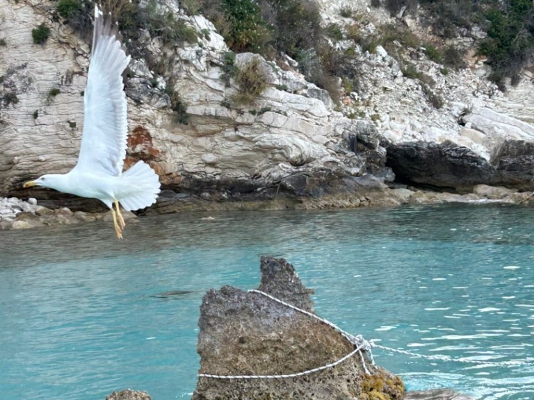 Catamaran to hire Lefkáda at the best price