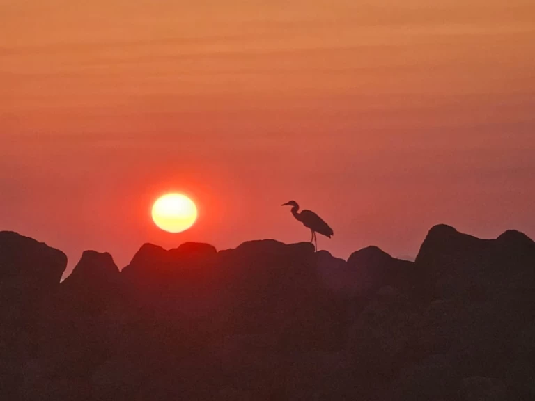 Charter a Marco 26 in Oía on Samboat