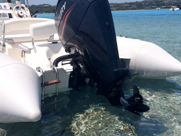 Zodiac Explorer 640 charter bareboat or skippered in  Sainte-Lucie de Porto-Vecchio