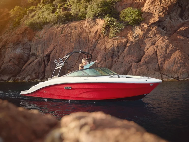 Sea Ray Sea Ray SPX 210 charter bareboat or skippered in  Crikvenica