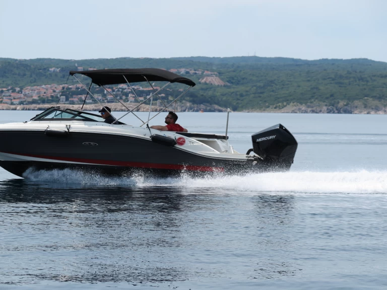 Hire Motorboat Sea Ray with a boat licence