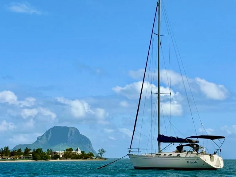 Yacht charter Grand Baie - Dufour Dufour 41 Classic on SamBoat