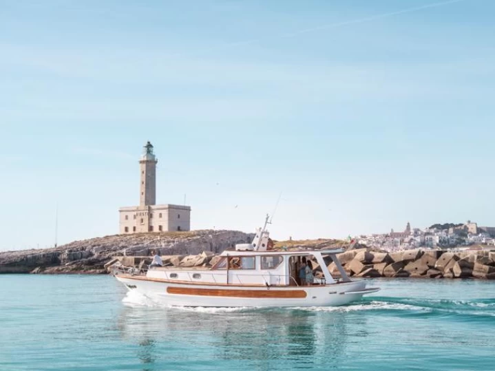 Motorboat hire in Vieste - Jeanneau Albatros 750