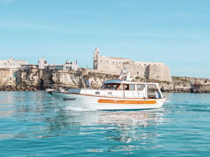 Charter a Jeanneau Albatros 750 in Vieste on Samboat