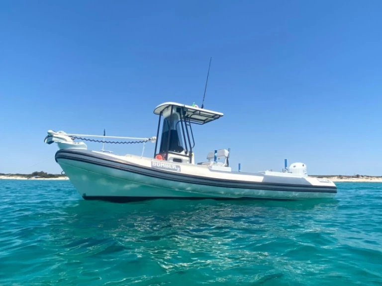 RIB hire in Porto Cesareo (Port) - Perondi Beluga 22