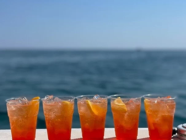 Hire RIB with or without skipper Perondi Porto Cesareo (Port)