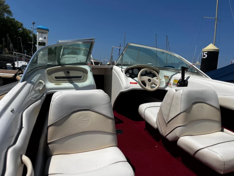 Motorboat hire in Évian-les-Bains - Sea Ray Sea Ray 175 Bow Rider