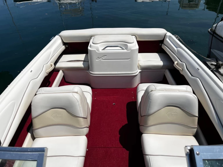 Hire Motorboat Sea Ray with a boat licence