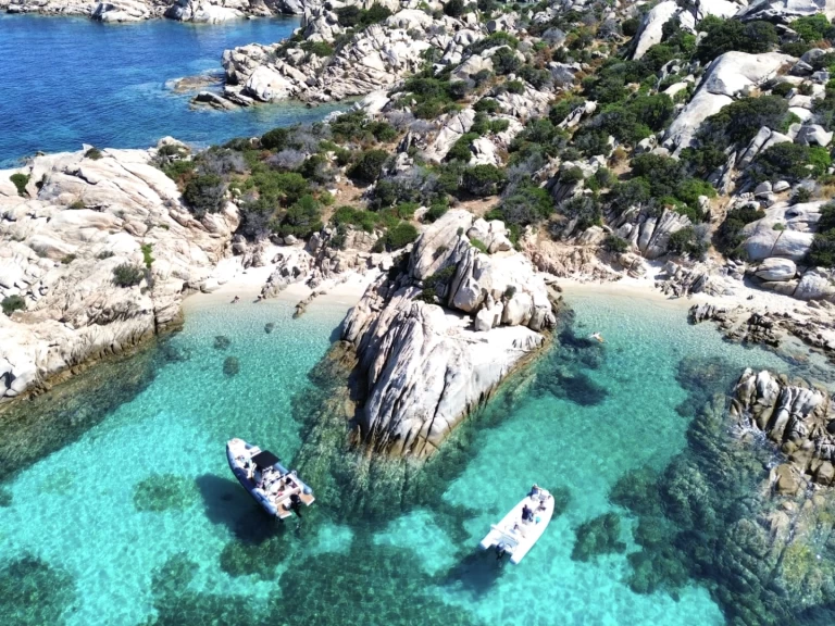 Nuova Jolly prince 24 exclusive charter bareboat or skippered in  Palau