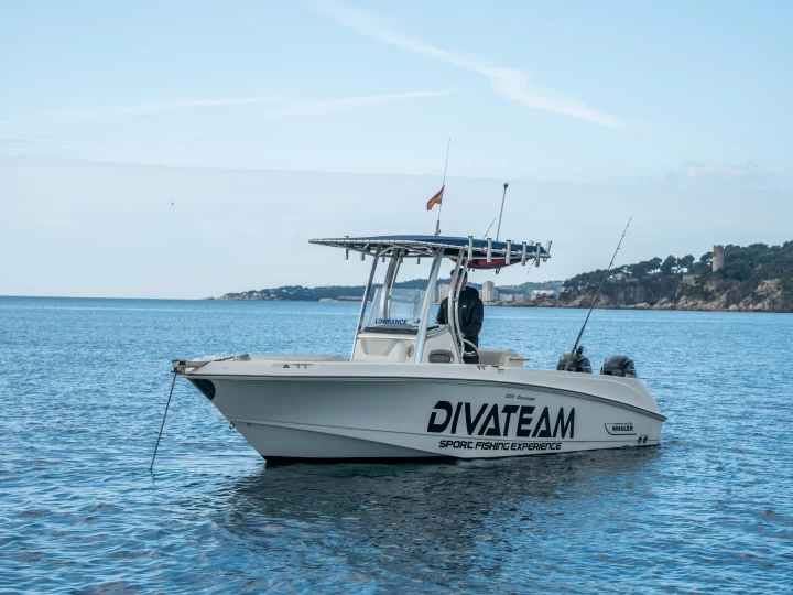 Boston Whaler Boston Whaler 220 Outrage charter bareboat or skippered in  Marina de Palamós