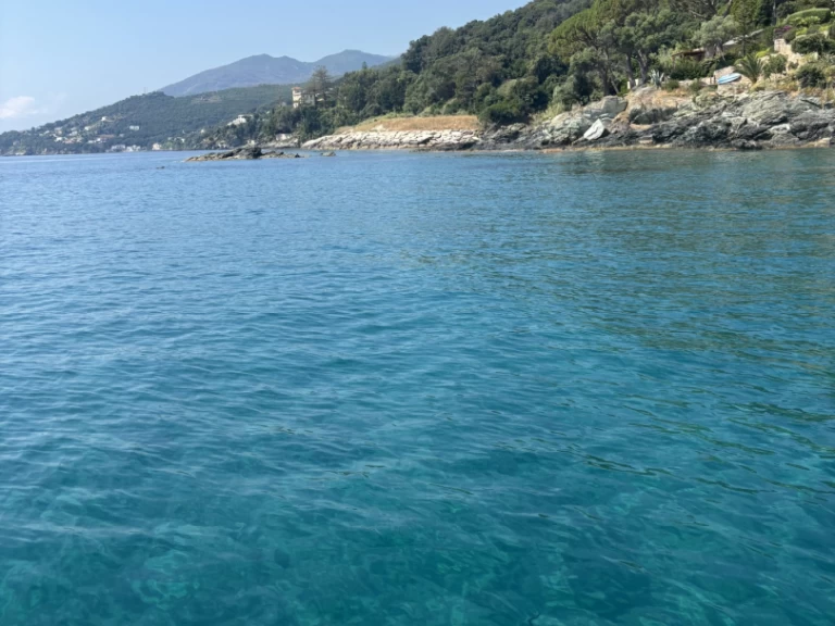 Yacht hire Bastia Ferry Port cheap Cap Camarat 5.1