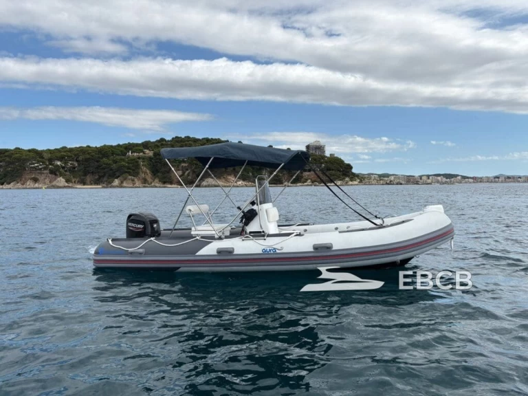 Hire Motorboat with or without skipper Silver Palamós