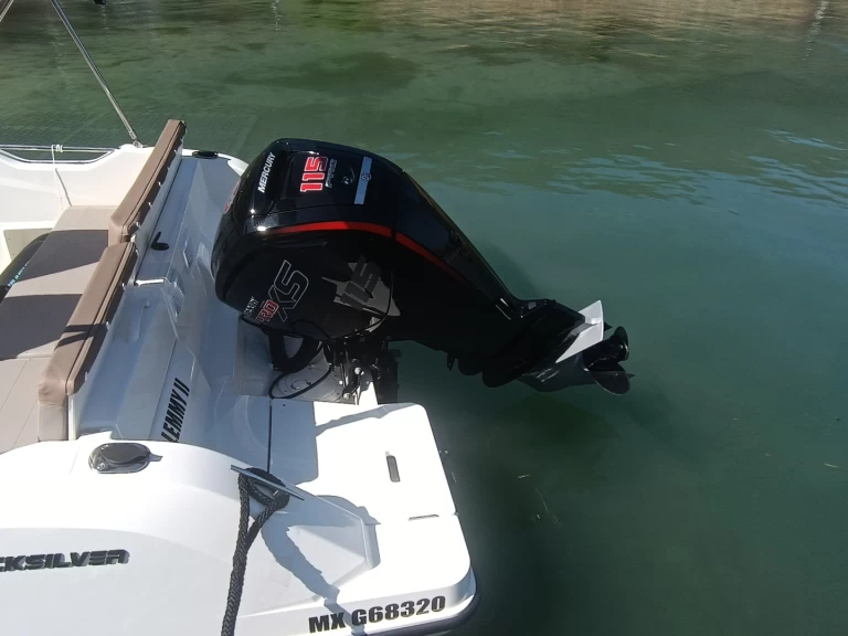 Quicksilver Activ 605 Open charter bareboat or skippered in  Annecy