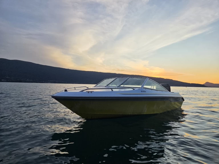 Yacht hire Annecy cheap Sea Ray 160 CB