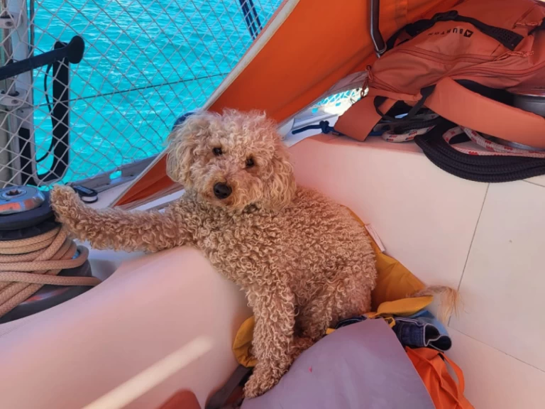 Yacht hire Saint-Florent cheap Sun Fizz