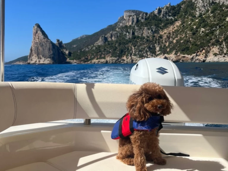 Hire a Bsc BSC 70 Classic Villasimius