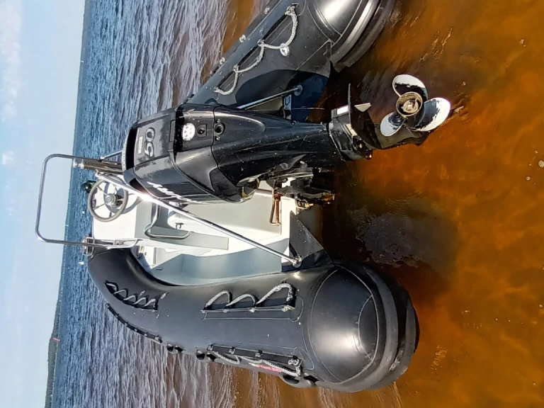 Charter a 3D Tender Defender 490 in Lacanau on Samboat