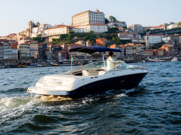 Motorboat to hire Porto at the best price