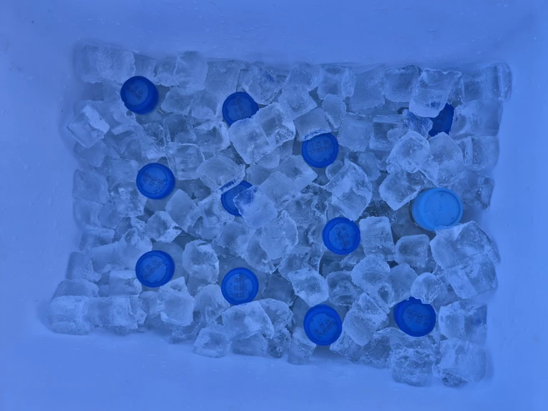 Yacht charter Makarska - Cap755cc Cap755cc on SamBoat