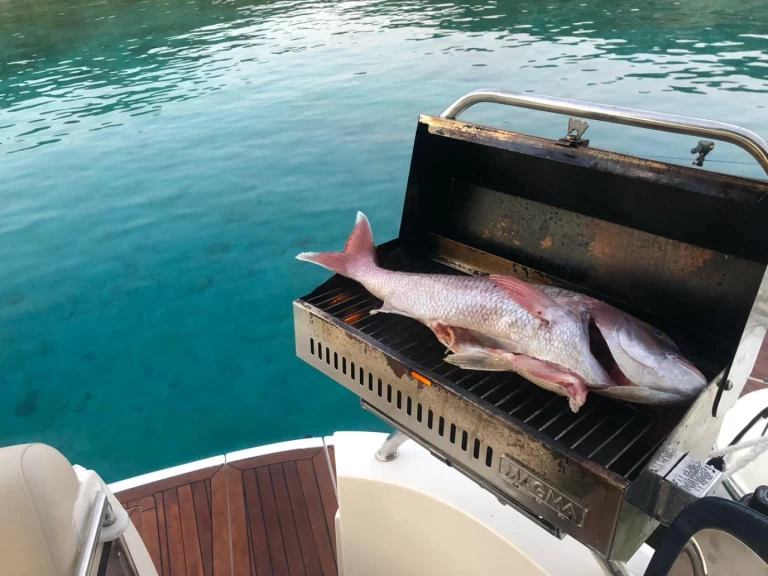 Motorboat hire in Alimos - Sealine Sealine S38