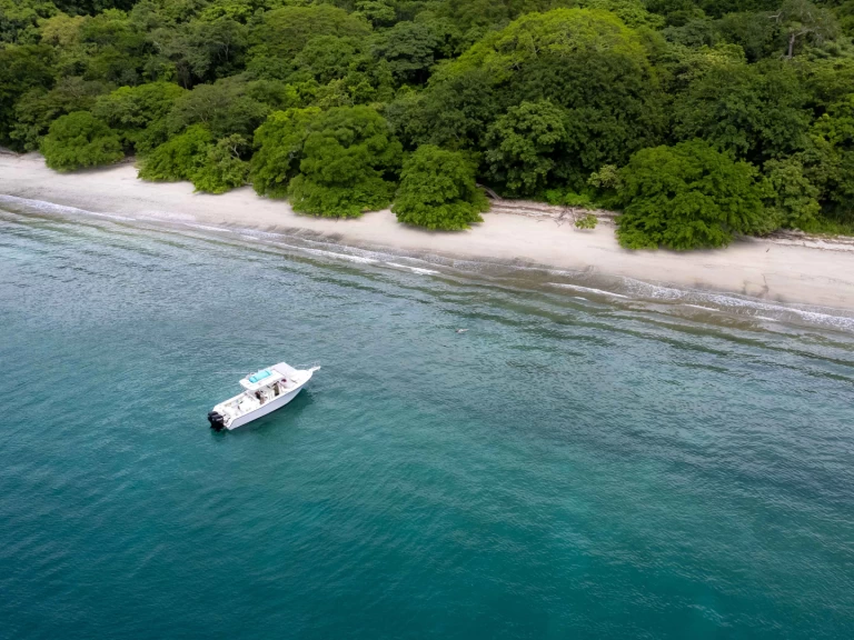 Hire Motorboat grady-white with a boat licence