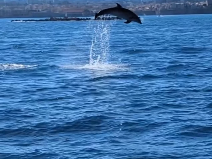 Hire Motorboat Navan with a boat licence