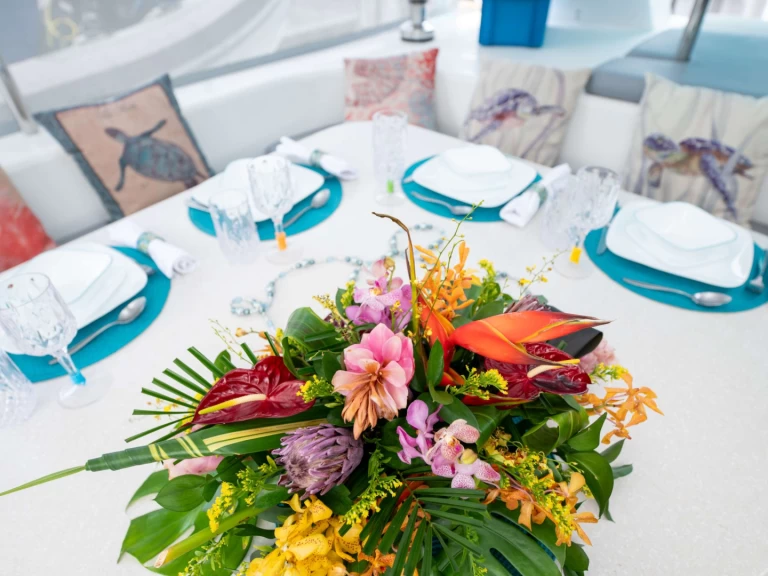 Voyage TURQUOISE TURTLE charter bareboat or skippered in  British Virgin Islands (BVI)
