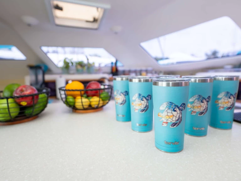 Yacht charter British Virgin Islands (BVI) - Voyage TURQUOISE TURTLE on SamBoat