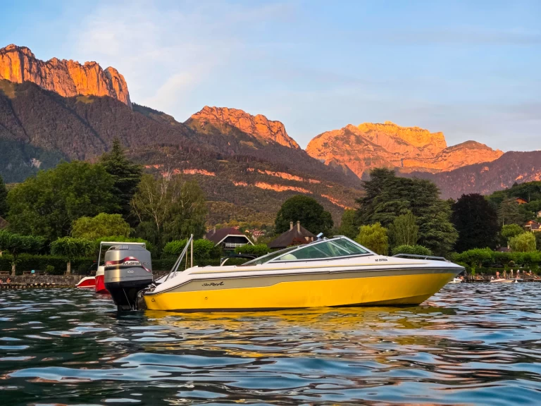 Hire Motorboat with or without skipper Sea Ray Annecy
