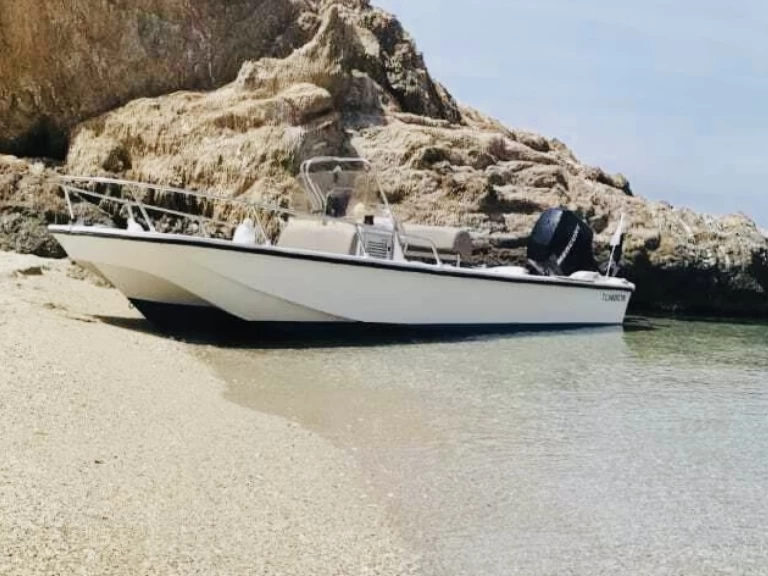 Yacht charter Larmor-Plage - Boston Whaler Boston Whaler 17 on SamBoat