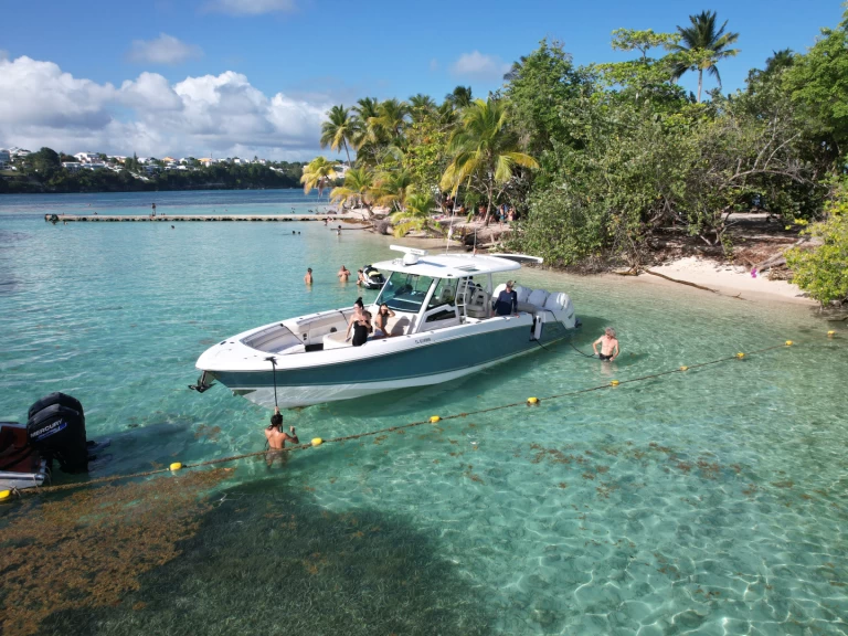 Hire Motorboat with or without skipper Boston Whaler Pointe-à-Pitre