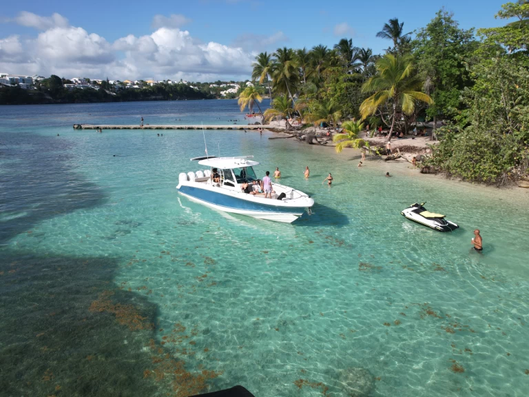 Yacht charter Pointe-à-Pitre - Boston Whaler Boston Whaler 380 Outrage on SamBoat