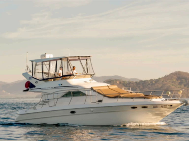 Yacht charter World - Sea Ray Sea Ray 400 Sedan Bridge on SamBoat