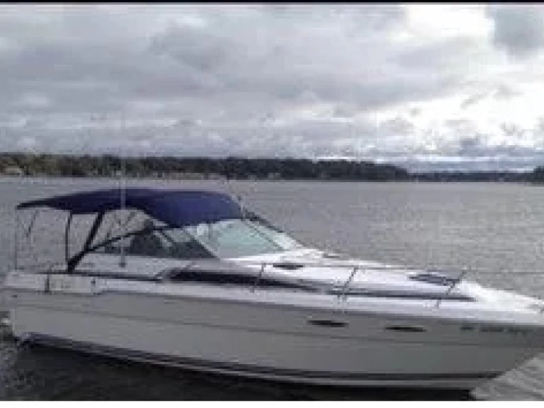 Motorboat hire in Sorrento - Sea Ray Sea Ray 300 Sundancer