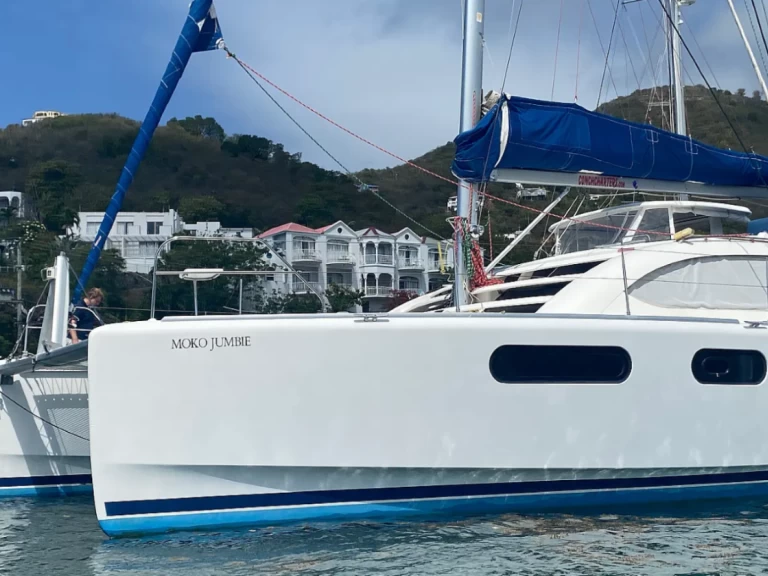 Charter a Leopard Catamarans / Robertson & Caine Leopard 46 - 4 cab. in Parish of Saint George on Samboat