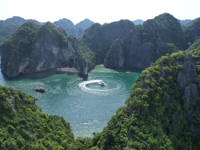 Motorboat hire in Hạ Long - Prestige Prestige 520 Fly