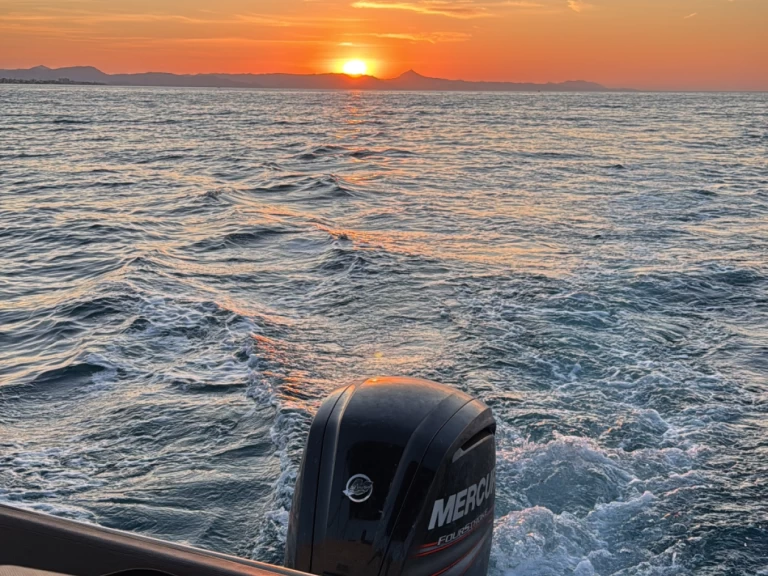 Charter a Quicksilver Activ 605 Sundeck in Dénia on Samboat