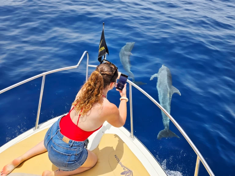 Motorboat to hire Guía de Isora at the best price