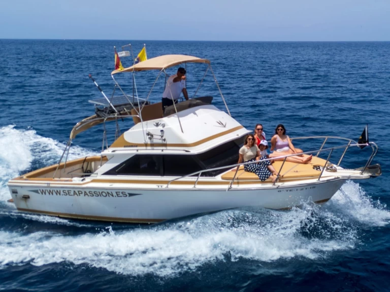 Motorboat hire in Guía de Isora - Bertram Bertram 28 flybrigde