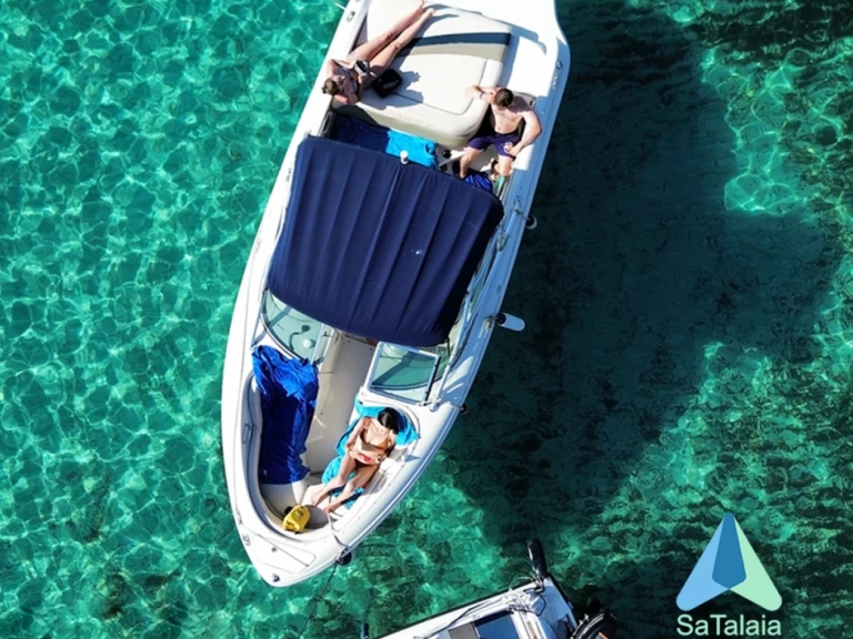 Hire Motorboat Sea Ray with a boat licence