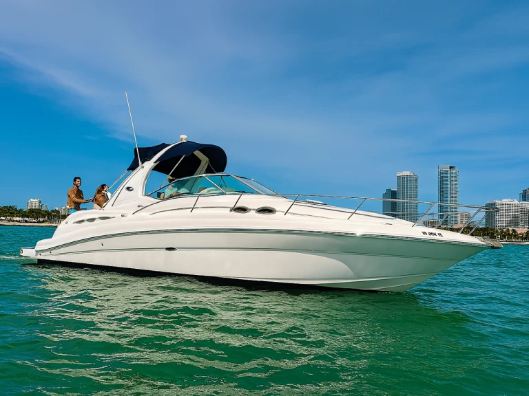 Hire Motorboat Sea Ray with a boat licence