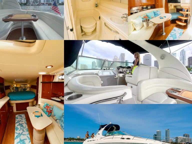 Sea Ray Sundancer 37 charter bareboat or skippered in  Miami