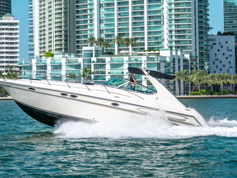 Yacht hire Miami cheap Maxum 38