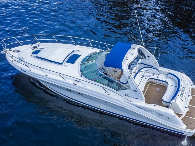 Hire Luxury Yacht with or without skipper Sea Ray Miami